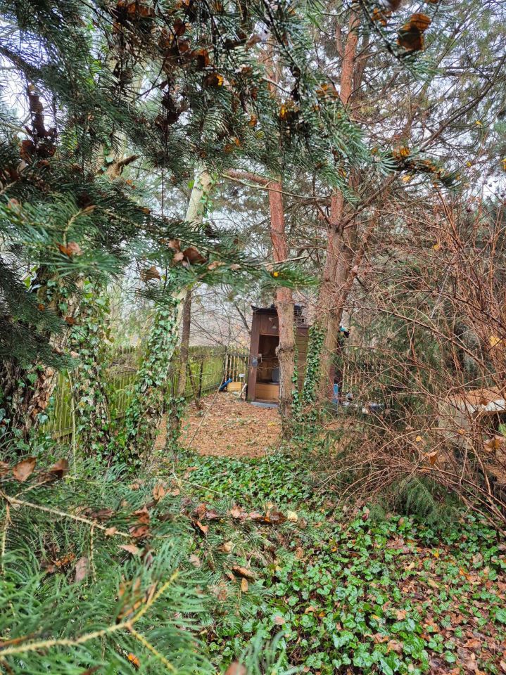 Działka rekreacyjna Kępa. Zdjęcie 7