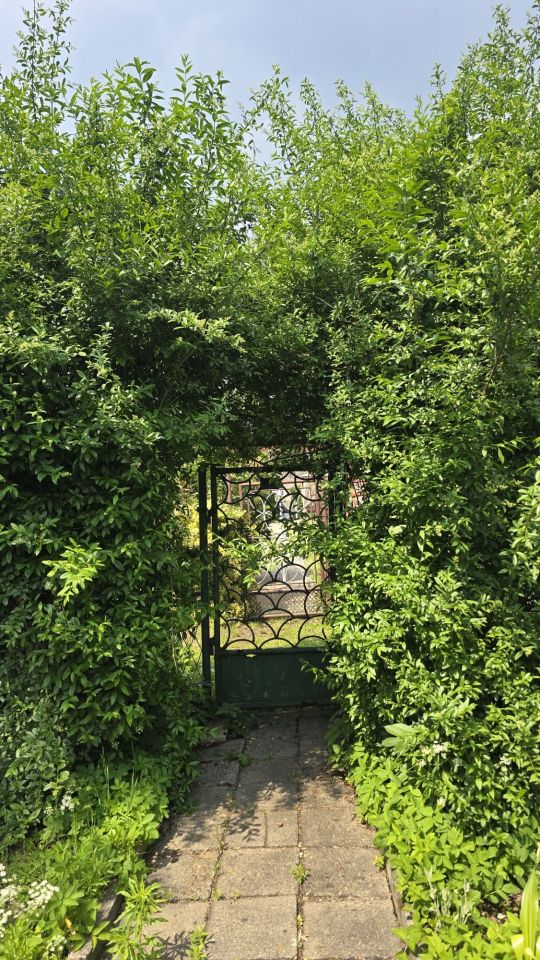 Działka rod Bytom, ul. Dworska. Zdjęcie 4