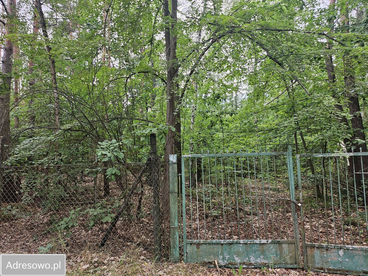 Działka rekreacyjna Siestrzeń, ul. Klonowa. Zdjęcie 13