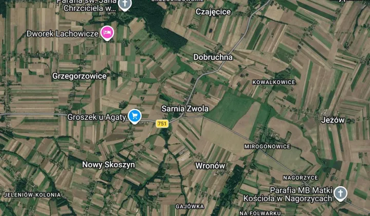 Nieruchomość komercyjna Sarnia Zwola Sarnia Zwola-Folwark