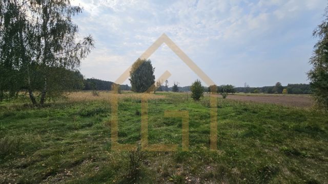 Działka siedliskowa Bełchów. Zdjęcie 1