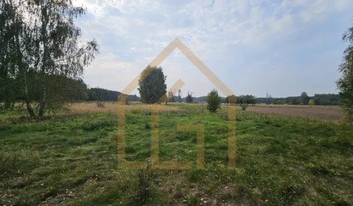 Działka siedliskowa Bełchów