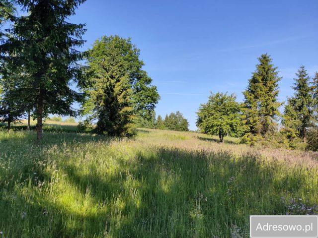 Działka budowlana Stryszów. Zdjęcie 1