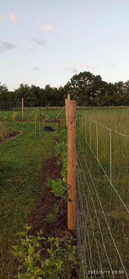 Działka siedliskowa Grodziszcze. Zdjęcie 18