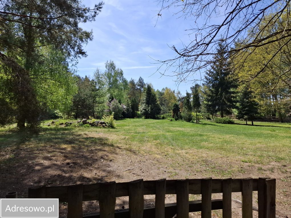 Działka Sierakówek. Zdjęcie 6