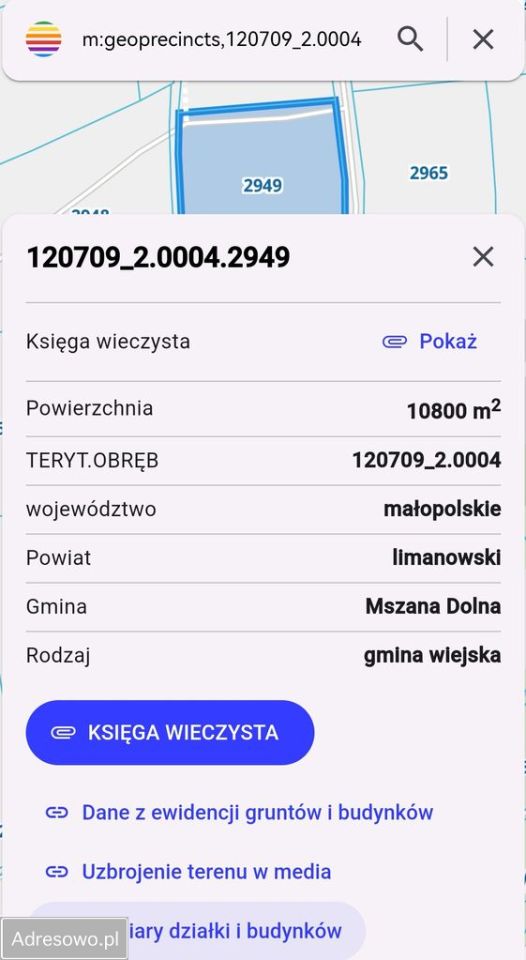 Działka rolna Lubomierz. Zdjęcie 2