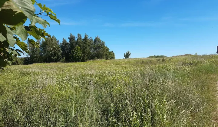 Działka Leszcz