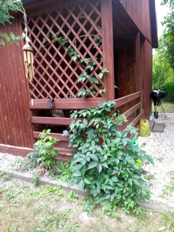 Działka rod Kraków Zwierzyniec, ul. Do Przystani. Zdjęcie 2