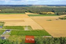 Działka budowlana Wysocko Wielkie, ul. Akacjowa. Zdjęcie 1