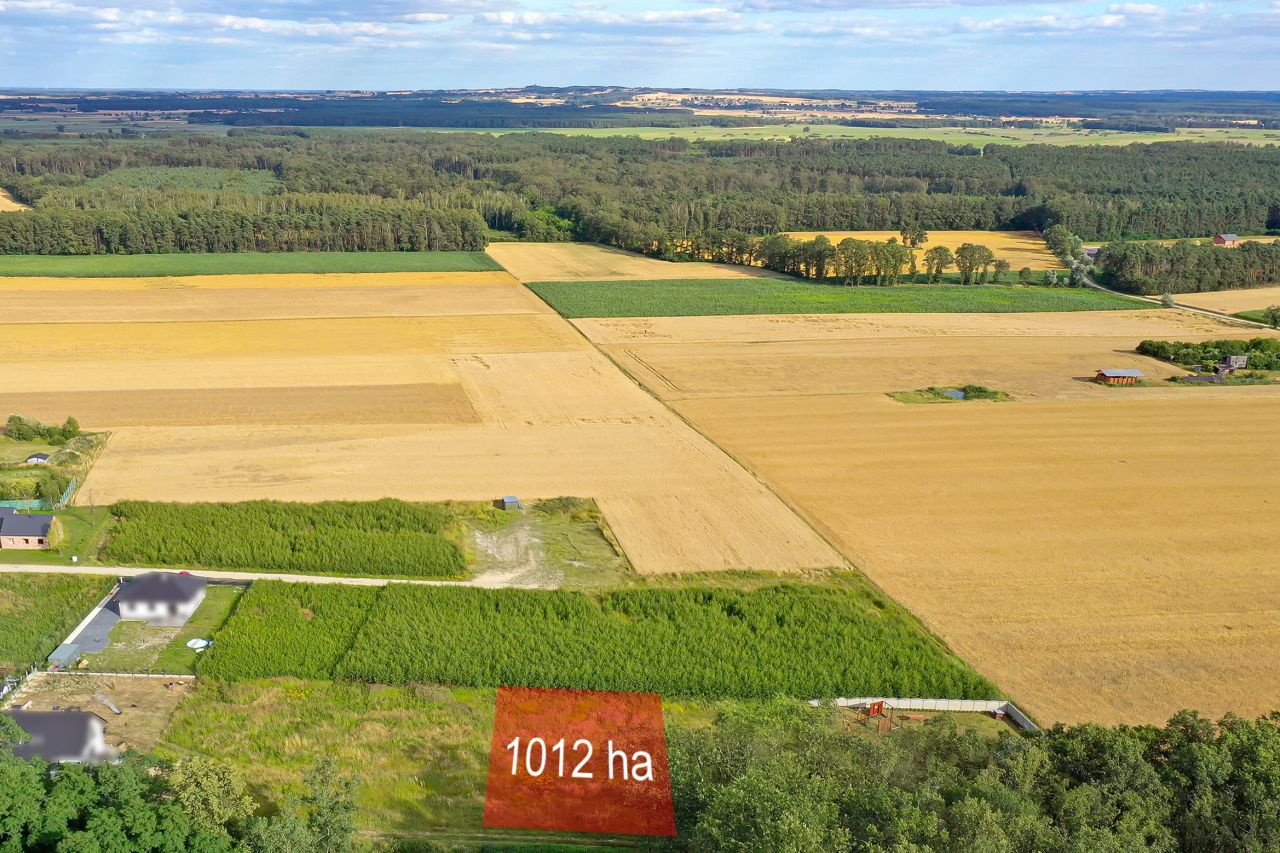 Działka budowlana Wysocko Wielkie, ul. Akacjowa. Zdjęcie 2