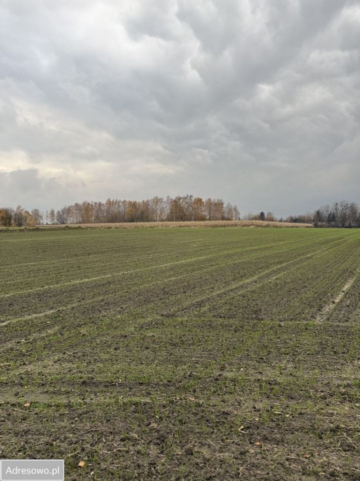 Działka rolna Piekary Śląskie Dąbrówka Wielka. Zdjęcie 5