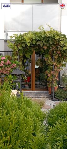 Mieszkanie 2-pokojowe Gdańsk Jasień, ul. Potęgowska. Zdjęcie 8