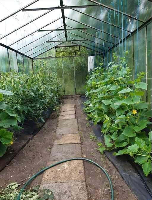 Działka rod Słupsk, al. 3 Maja. Zdjęcie 4