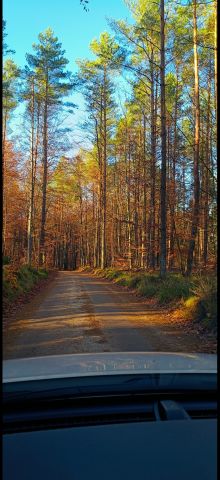 dom wolnostojący, 5 pokoi Kamień, ul. Gdańska. Zdjęcie 18