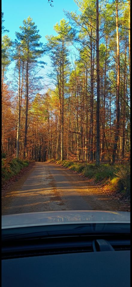 dom wolnostojący, 5 pokoi Kamień, ul. Gdańska. Zdjęcie 18
