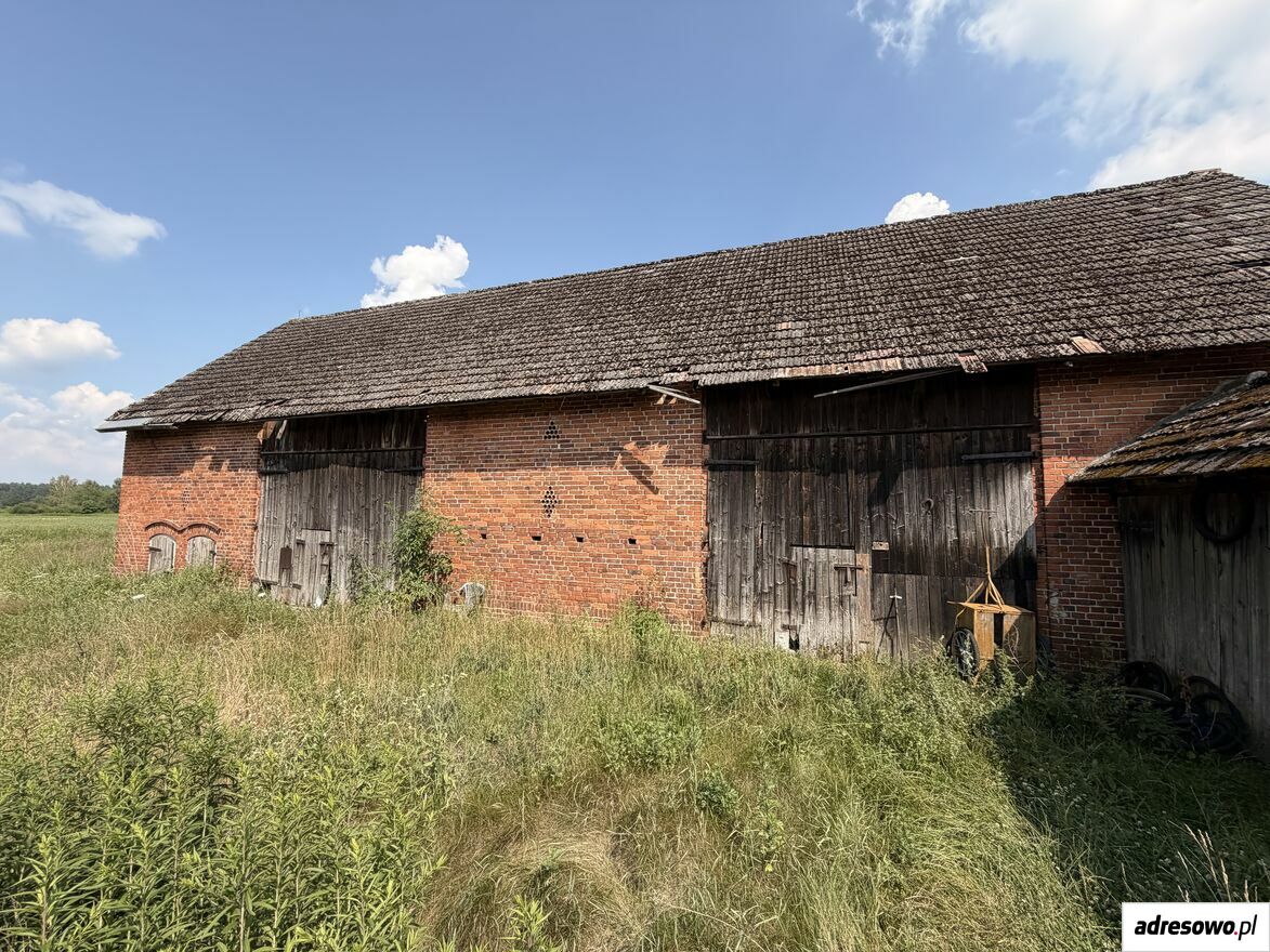 Działka siedliskowa Pawłów. Zdjęcie 2