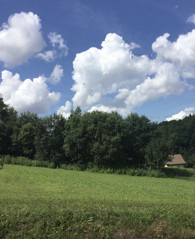 Działka budowlana Minoga, Minoga