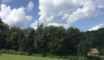 Działka budowlana Minoga, Minoga. Zdjęcie 1