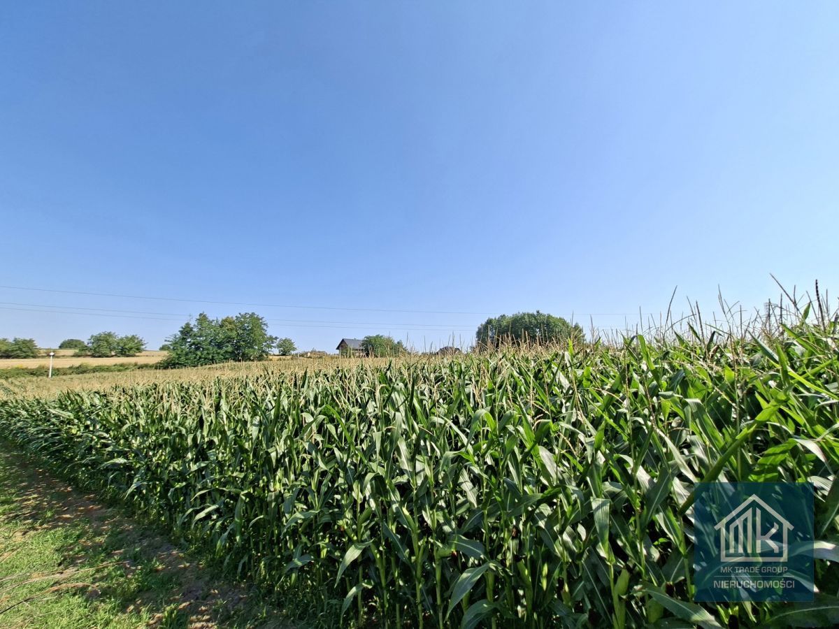 Działka budowlana Bodzanów. Zdjęcie 7