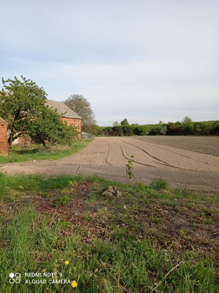 Nieruchomość komercyjna Solniki. Zdjęcie 4