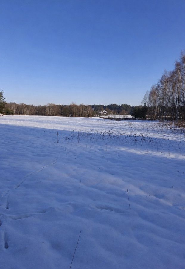 Działka budowlana Wysoka Głogowska, ul. Leśne Zacisze. Zdjęcie 6