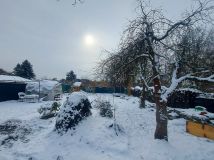 Działka rod Ruda Śląska Wirek, ul. Alojzego Jankowskiego. Zdjęcie 3