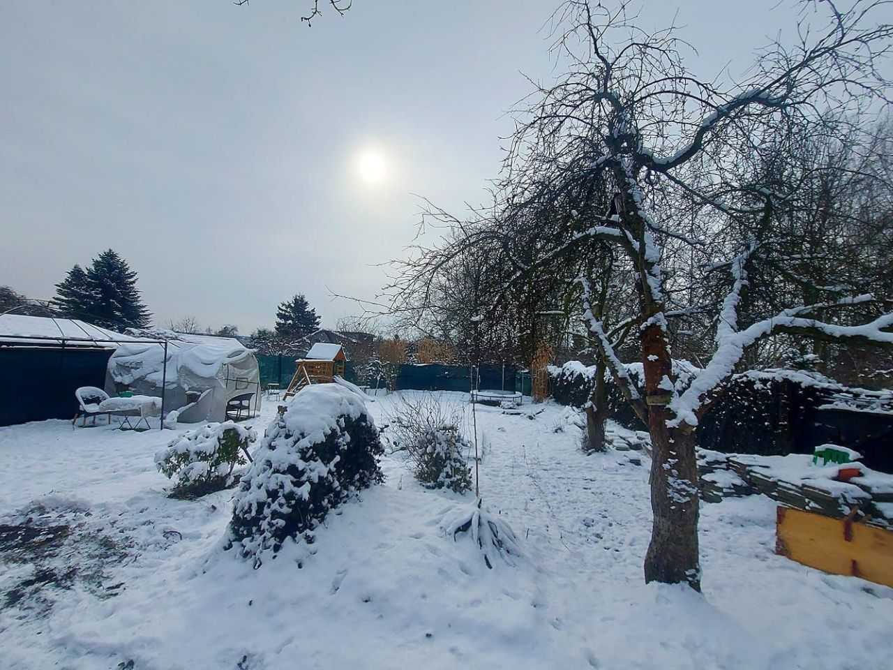 Działka rod Ruda Śląska Wirek, ul. Alojzego Jankowskiego. Zdjęcie 4