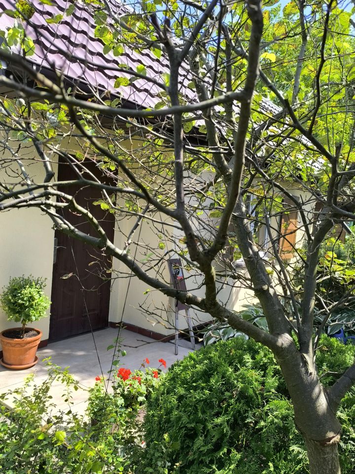 Działka rod Toruń Rubinkowo, ul. Marii Skłodowskiej-Curie. Zdjęcie 2