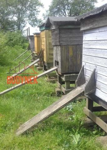 Działka rolna Janiewice. Zdjęcie 5