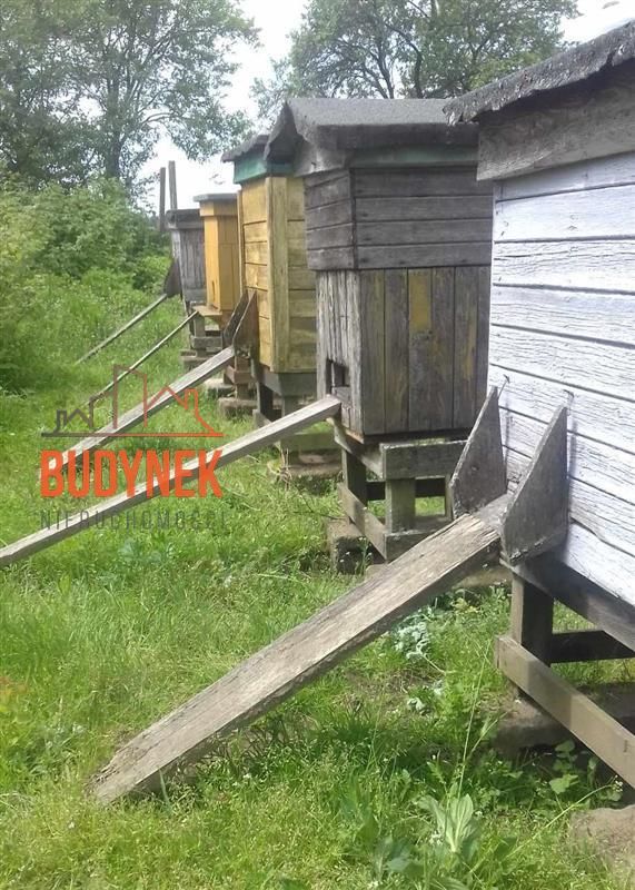 Działka rolna Janiewice. Zdjęcie 5