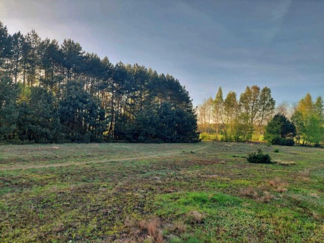 Działka rekreacyjna Kolonia Ldzań. Zdjęcie 1