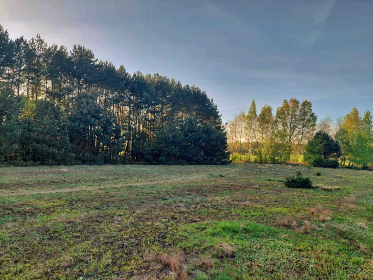 Działka rekreacyjna Kolonia Ldzań