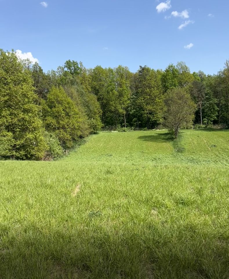 Działka budowlana Wierciszów