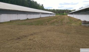 Działka inwestycyjna Skwierzyna