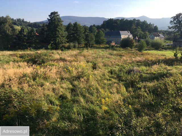 Działka budowlana Bukowiec. Zdjęcie 1