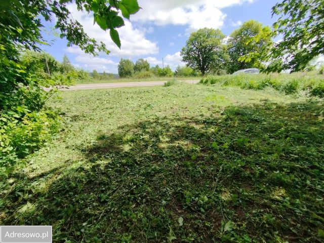 Działka rolno-budowlana Czymanowo. Zdjęcie 1