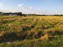 Działka budowlana Suszno Suszno-Kolonia, ul. Brzoskwiniowa. Zdjęcie 4