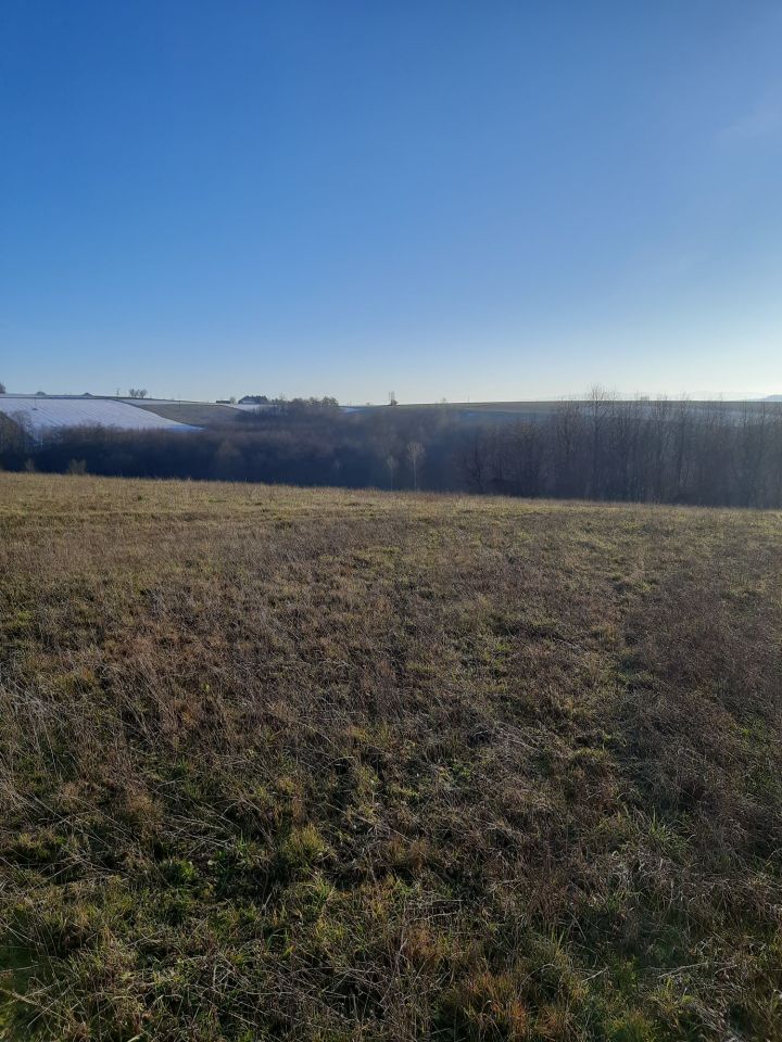 Działka rolno-budowlana Moszczenica. Zdjęcie 6