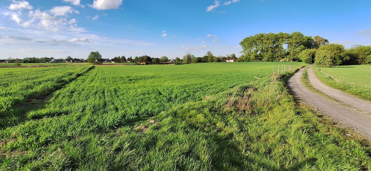 Działka rolno-budowlana Jawidz. Zdjęcie 3