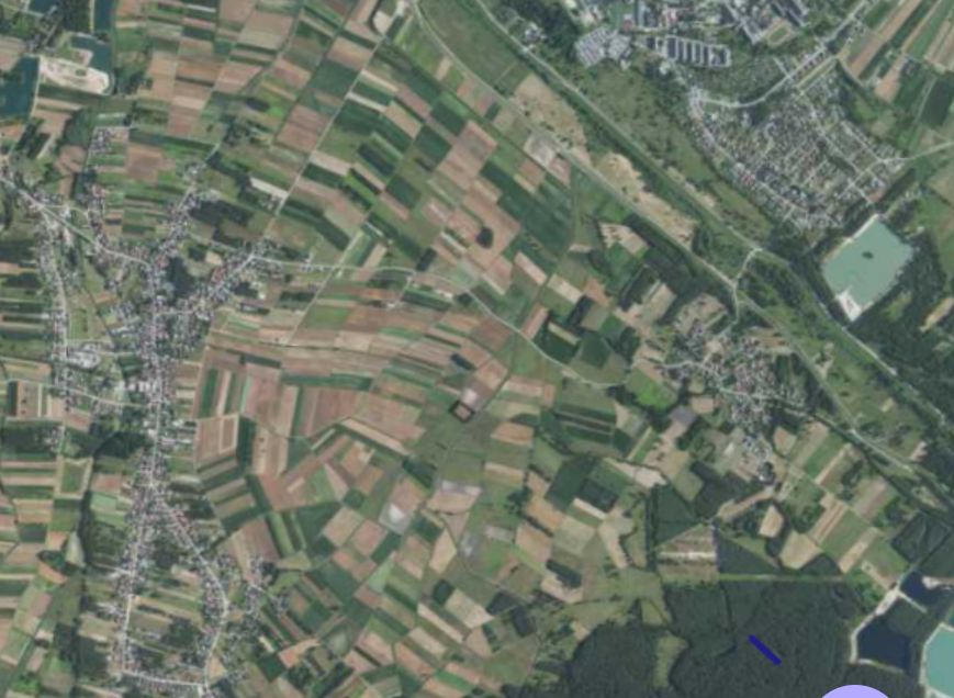 Działka leśna Orliska. Zdjęcie 4