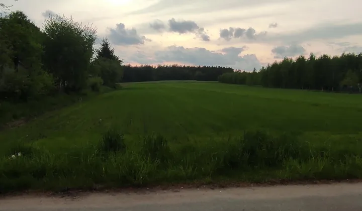 Działka siedliskowa Plutycze