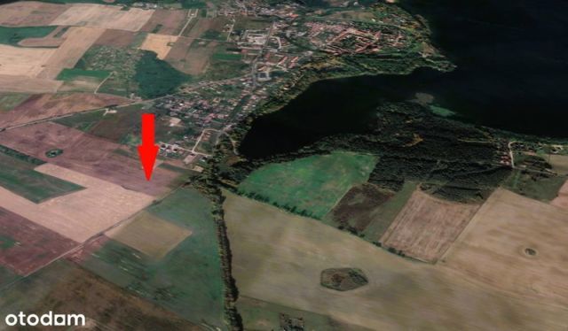 Działka budowlana Moryń. Zdjęcie 7