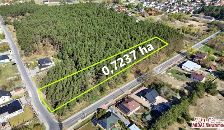 Działka leśna Ciechocinek, ul. Żytnia