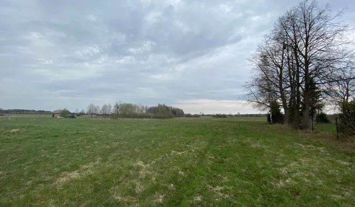 Działka siedliskowa Orzeszkowo Olszyna