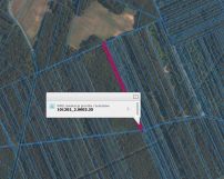 Działka leśna Borowiecko. Zdjęcie 1