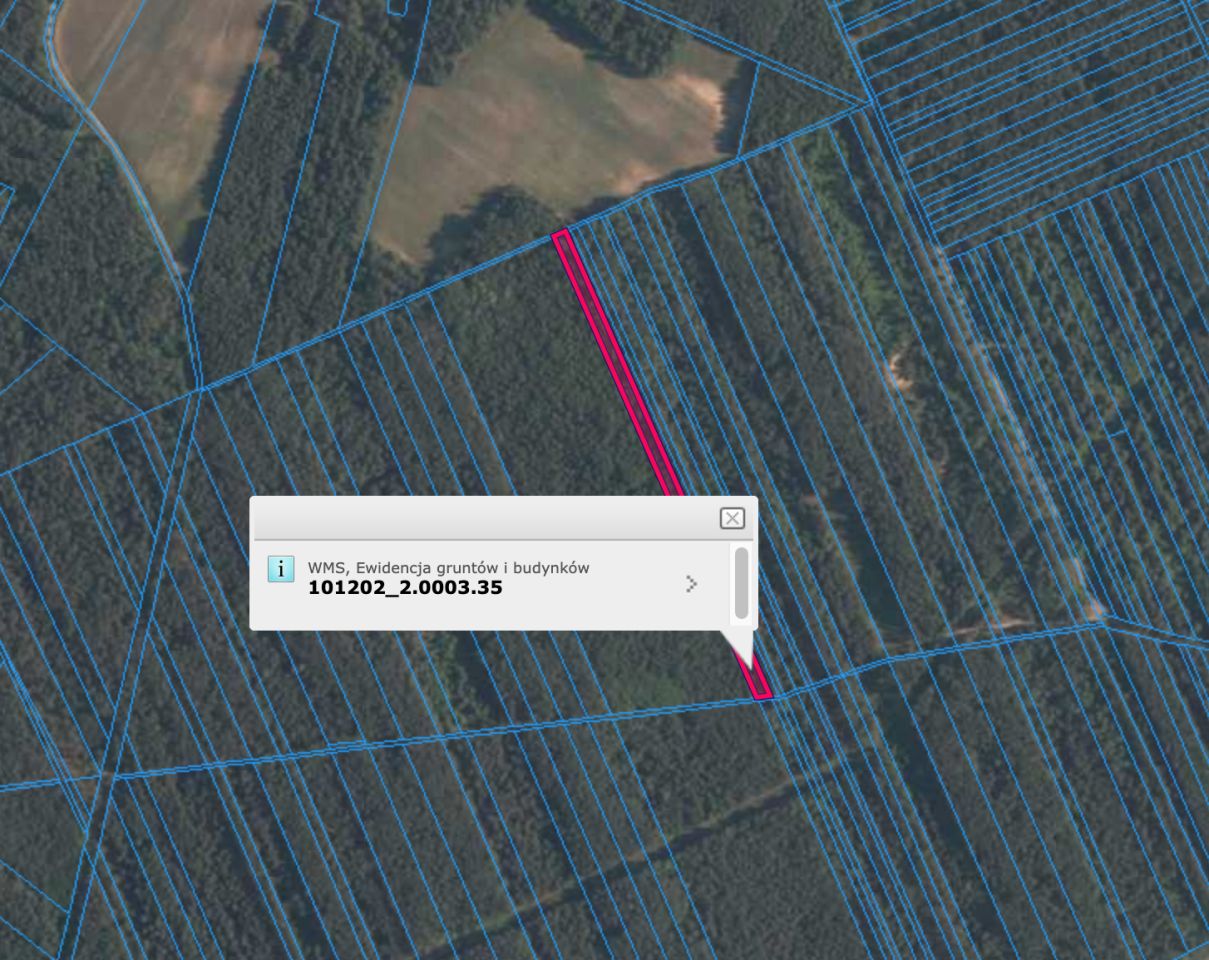 Działka leśna Borowiecko. Zdjęcie 2