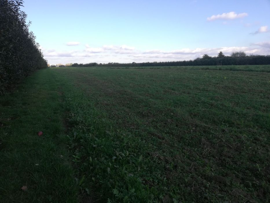 Działka rolno-budowlana Gruszczyn