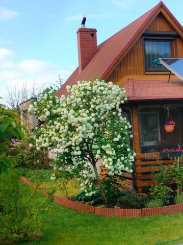 Działka rod Szczecin Pogodno. Zdjęcie 1