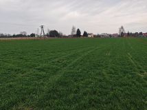 Działka rolno-budowlana Trzciana. Zdjęcie 3