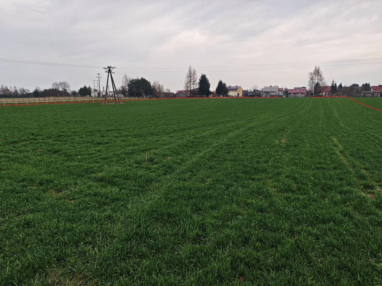 Działka rolno-budowlana Trzciana. Zdjęcie 4